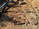 FileNo.181-050.jpg