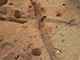 FileNo.181-057.jpg