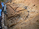 FileNo.181-063.jpg