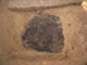FileNo.181-065.jpg