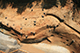 FileNo.181-072.jpg