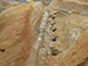 FileNo.181-074.jpg