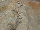 FileNo.181-077.jpg