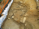 FileNo.181-083.jpg