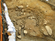 FileNo.181-084.jpg