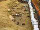 FileNo.181-085.jpg