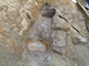 FileNo.181-089.jpg