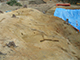 FileNo.181-097.jpg