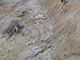 FileNo.181-101.jpg