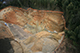 FileNo.181-111.jpg