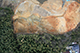 FileNo.181-112.jpg