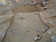 FileNo.181-126.jpg