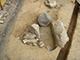 FileNo.181-129.jpg