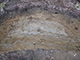 FileNo.181-141.jpg