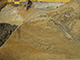 FileNo.181-143.jpg
