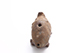 FileNo.181-147.jpg