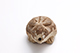 FileNo.181-150.jpg