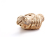 FileNo.181-152.jpg