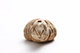 FileNo.181-153.jpg