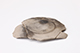 FileNo.181-170.jpg