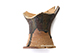 FileNo.181-203.jpg