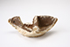 FileNo.181-210.jpg