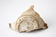 FileNo.181-211.jpg
