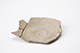 FileNo.181-212.jpg