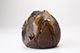 FileNo.181-225.jpg