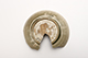 FileNo.181-249.jpg