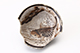 FileNo.181-257.jpg