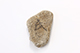 FileNo.181-304.jpg