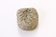FileNo.181-305.jpg