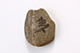 FileNo.181-306.jpg