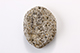 FileNo.181-313.jpg