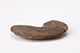 FileNo.181-383.jpg