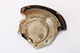 FileNo.181-393.jpg