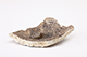 FileNo.181-394.jpg
