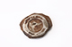 FileNo.181-400.jpg