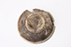 FileNo.181-434.jpg