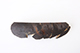 FileNo.181-477.jpg