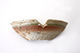 FileNo.181-503.jpg