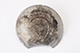 FileNo.181-517.jpg