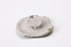 FileNo.181-526.jpg