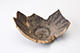 FileNo.181-531.jpg