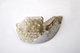 FileNo.181-536.jpg