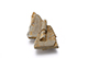 FileNo.181-628.jpg
