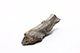 FileNo.181-630.jpg