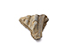 FileNo.181-635.jpg