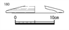 図版 181-JE0180.png